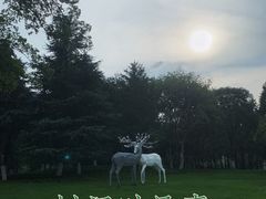-后襄河公园