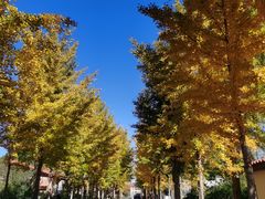 -意大利农场度假村