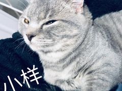 -宠颐生斯嘉宠物医院·急重症·心内科(谷阳北路分院)