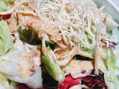 芝麻叶田园大拌菜-嘉和一品粥(方庄店)