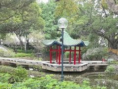 -九龙公园