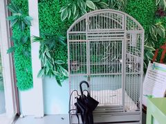 -雨林宠物医院·异宠专科(浦东分院)