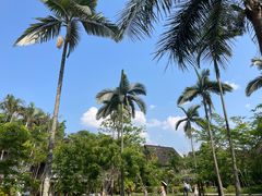 -西双版纳傣族园