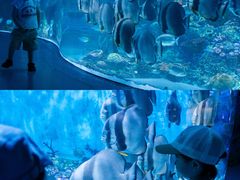 -海合安成都极地海洋公园