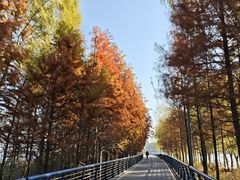 -阳澄湖半岛旅游度假区