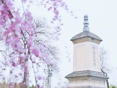 -西安青龙寺遗址景区