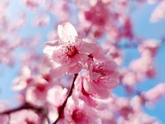 -茶桔便(欧亚大观店)