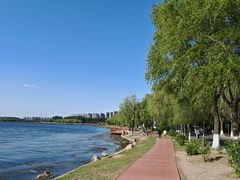 -丁香湖公园