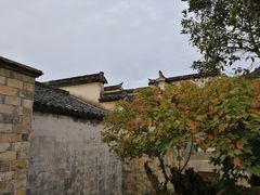-塔川景区