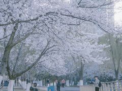 -西北湖绿化广场