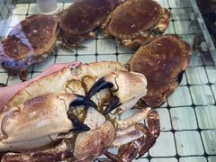 -大锅强·蒸海鲜青岛菜(金沙滩店)