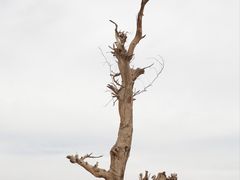 -火焰山景区(火焰山镇)