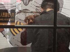 -沐沐家宠物(成寿寺店)