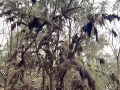 -北海金海湾红树林生态旅游区