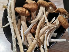 -探窝·竹笙椰子鸡(杨箕店)