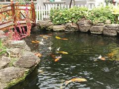 -聚福宝合苑食府(南头镇店)