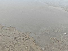 -吴淞炮台湾湿地森林公园烧烤区
