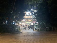 -九龙公园