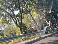 -西南政法大学(渝北校区)