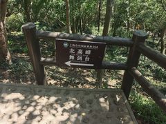 -上海佘山国家森林公园天马山园