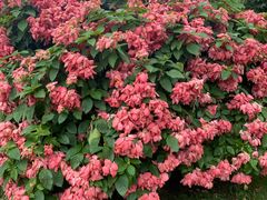 -华南国家植物园-售票处