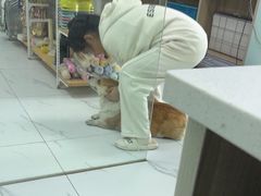 -嘉馨宠物医院·CT影像转诊·心脏科·犬猫全科诊疗中心(下沙大学城院区)