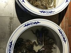 -鸽子窝(宋庄店)