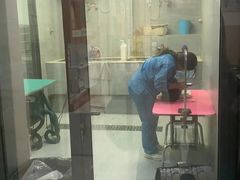 -安安宠医·安烨宠物医院·宠物保险(北仑分院)