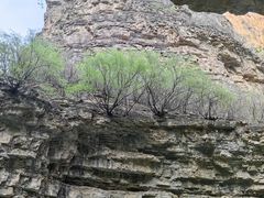 -龙门涧景区