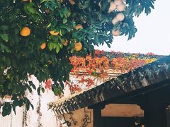 -王阳明故居