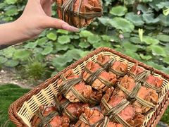 -七的湖·晚芳亭·阳澄湖农家菜·大闸蟹(莲花岛店)