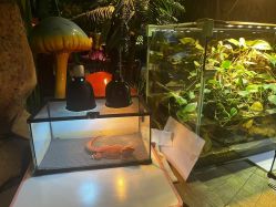 -酷嗒动物文化乐园(cutezoo西溪乐天城店)