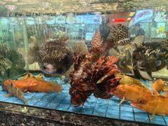 -聚福宝合苑食府(南头镇店)