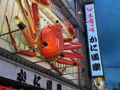 -蟹道乐(道顿堀本店)