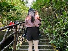 -海南热带雨林国家公园吊罗山景区