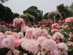 -丽池公园