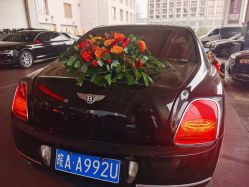 -蚂蚁婚车