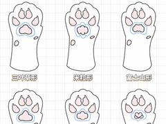 -纳吉亚猫专科动物诊疗中心(蒋宅口分院)