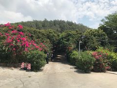 -荔景渔庄