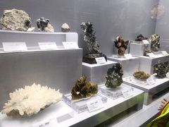 -湖南省地质博物馆