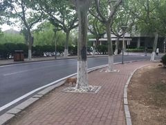 -大连理工大学(凌水校区)