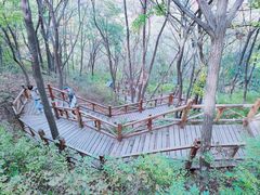 -大岭沟猕猴桃谷风景区