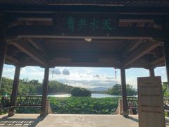 -江心屿景区