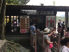 -金盆阿嬷香菇茶叶蛋(玄光店)