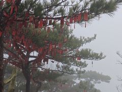 -罗田天堂寨风景区