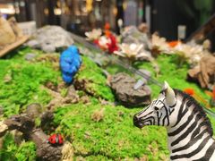 -Sony Store索尼(广州正佳店)