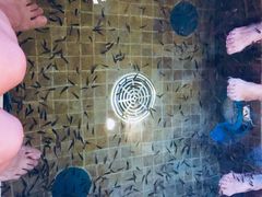 -中家鑫园温泉酒店鑫悦汤泉