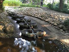 -成都市活水公园