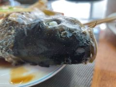 -微山岛春天里酒家