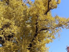 -狼山风景名胜区